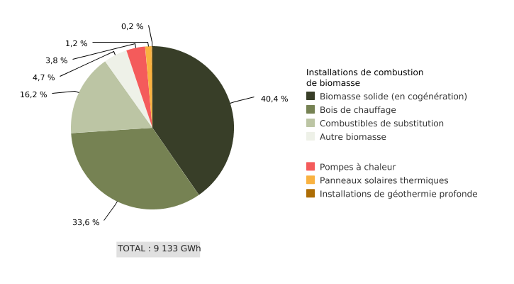 Production de chaleur à partir d'énergie issue de sources renouvelables (EnR) en Wallonie, par modes de production (2020)